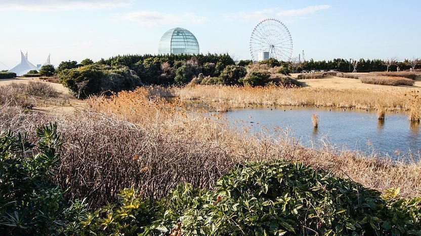 🏞️ 미야자키 해변 공원(미야자키 린카이 코엔) 이미지 1